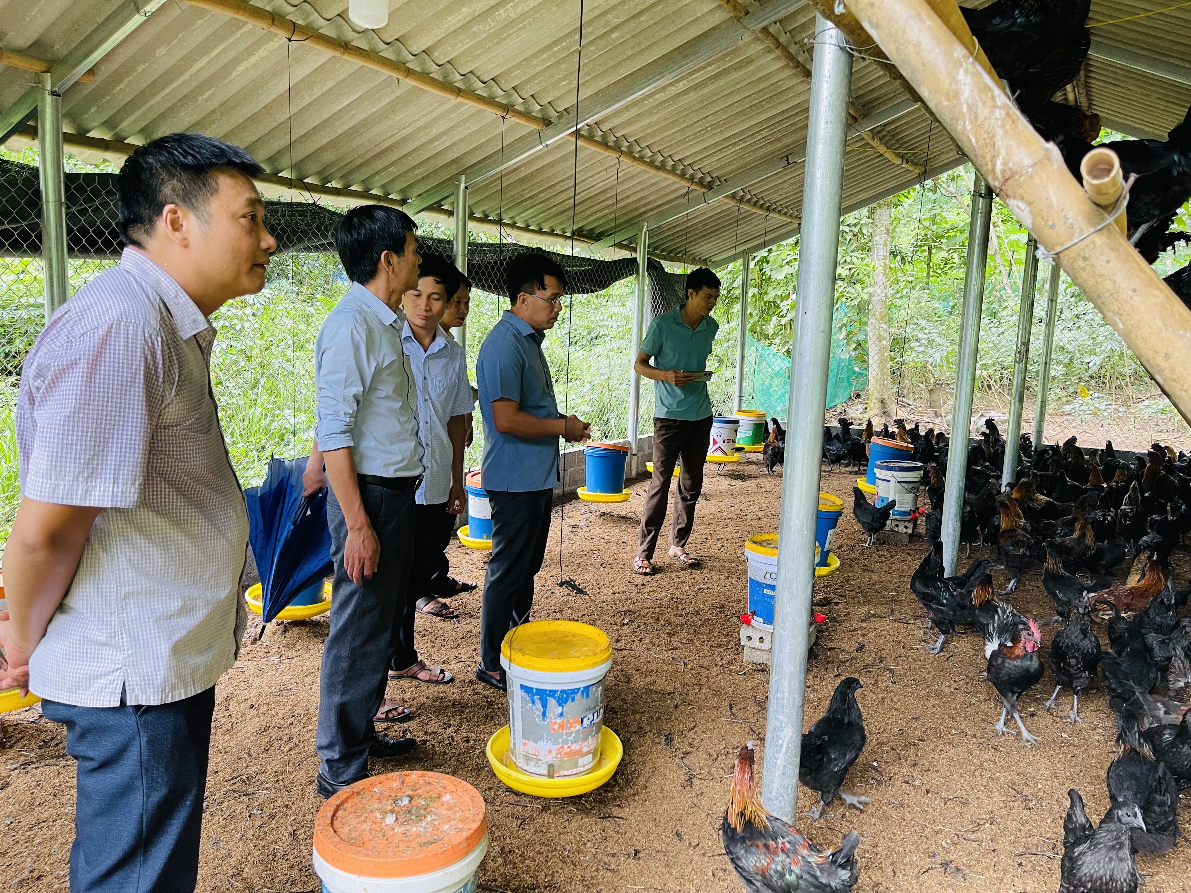 Hội nghị tổng kết mô hình gà đen H’mông tại xã Tùng Bá