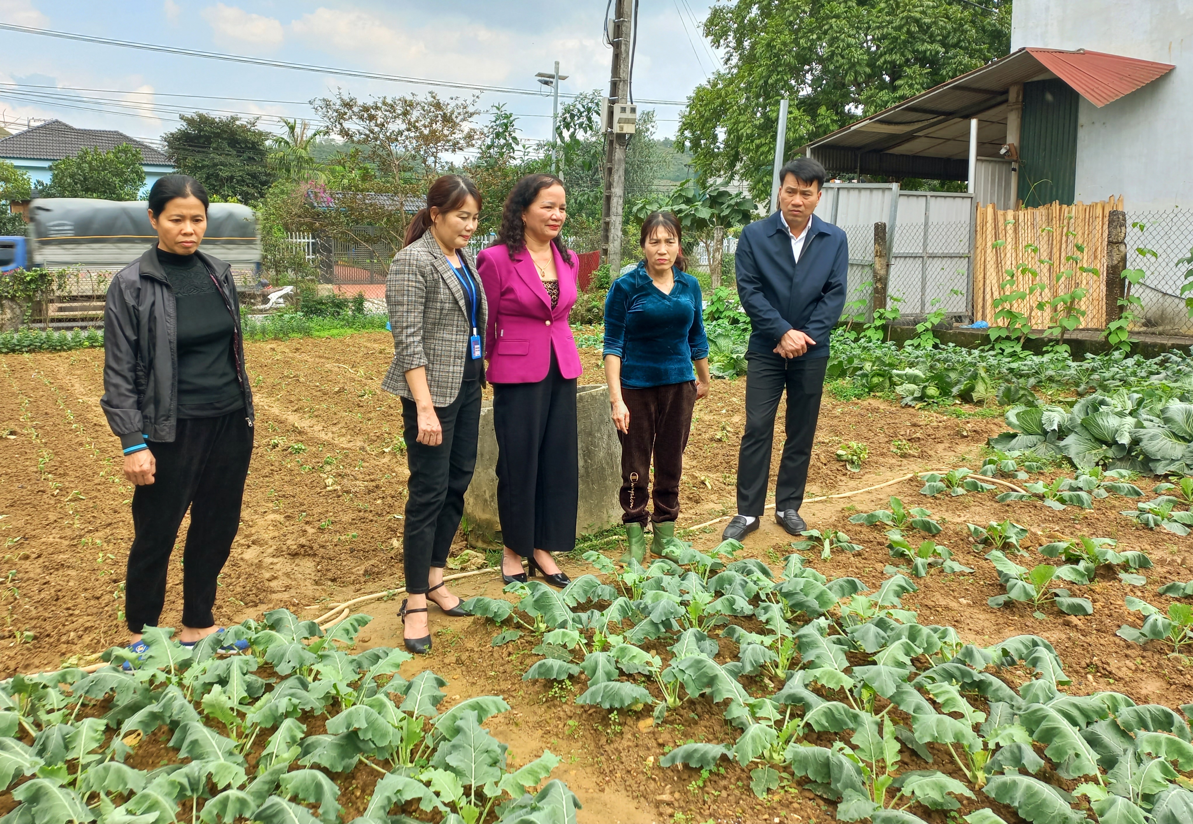 Hội LHPN huyện Vị Xuyên đánh giá kết quả hỗ trợ vườn rau hộ gia đình.