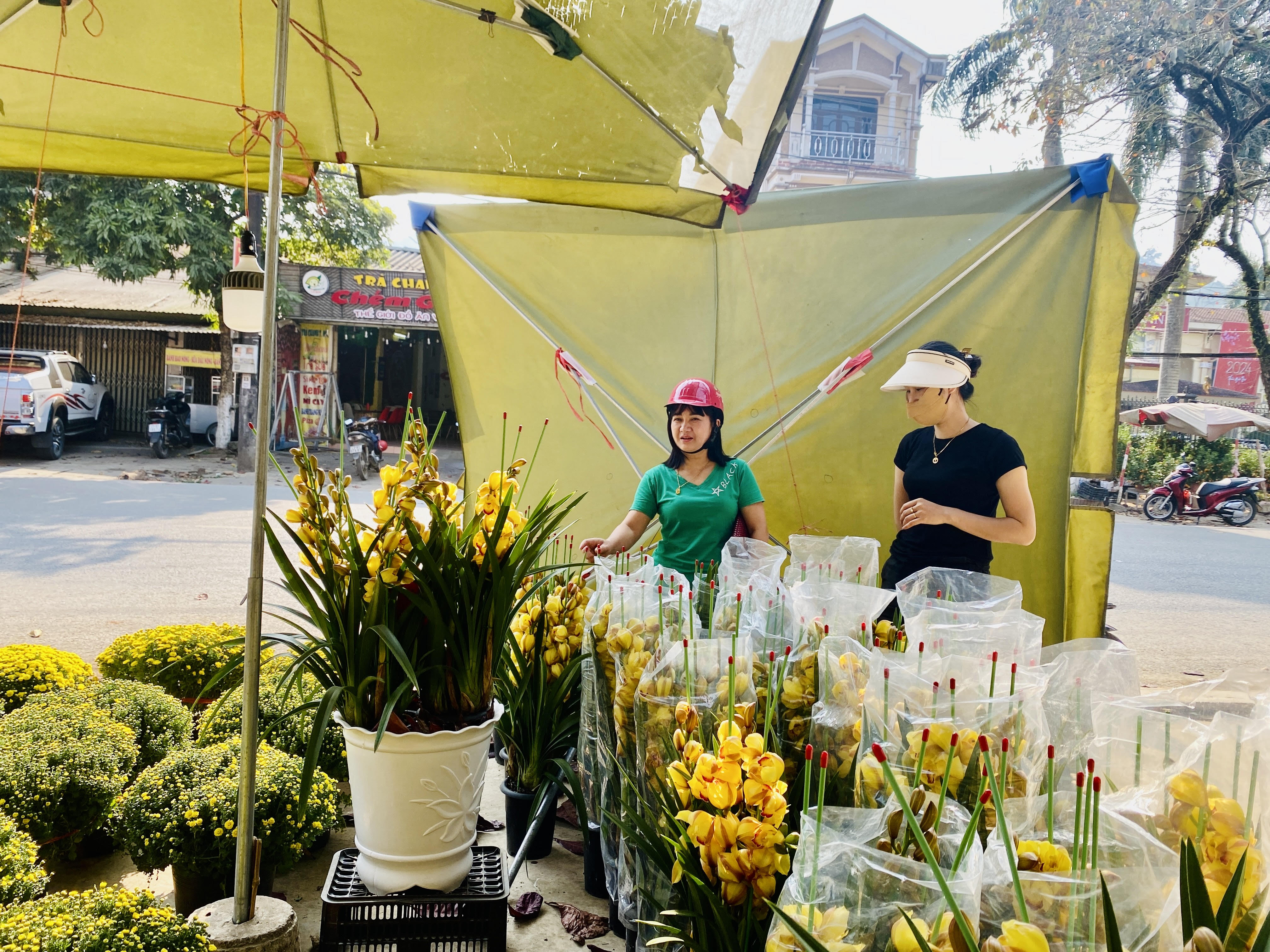 Nhộn nhịp thị trường hoa, cây cảnh Tết tại Vị Xuyên