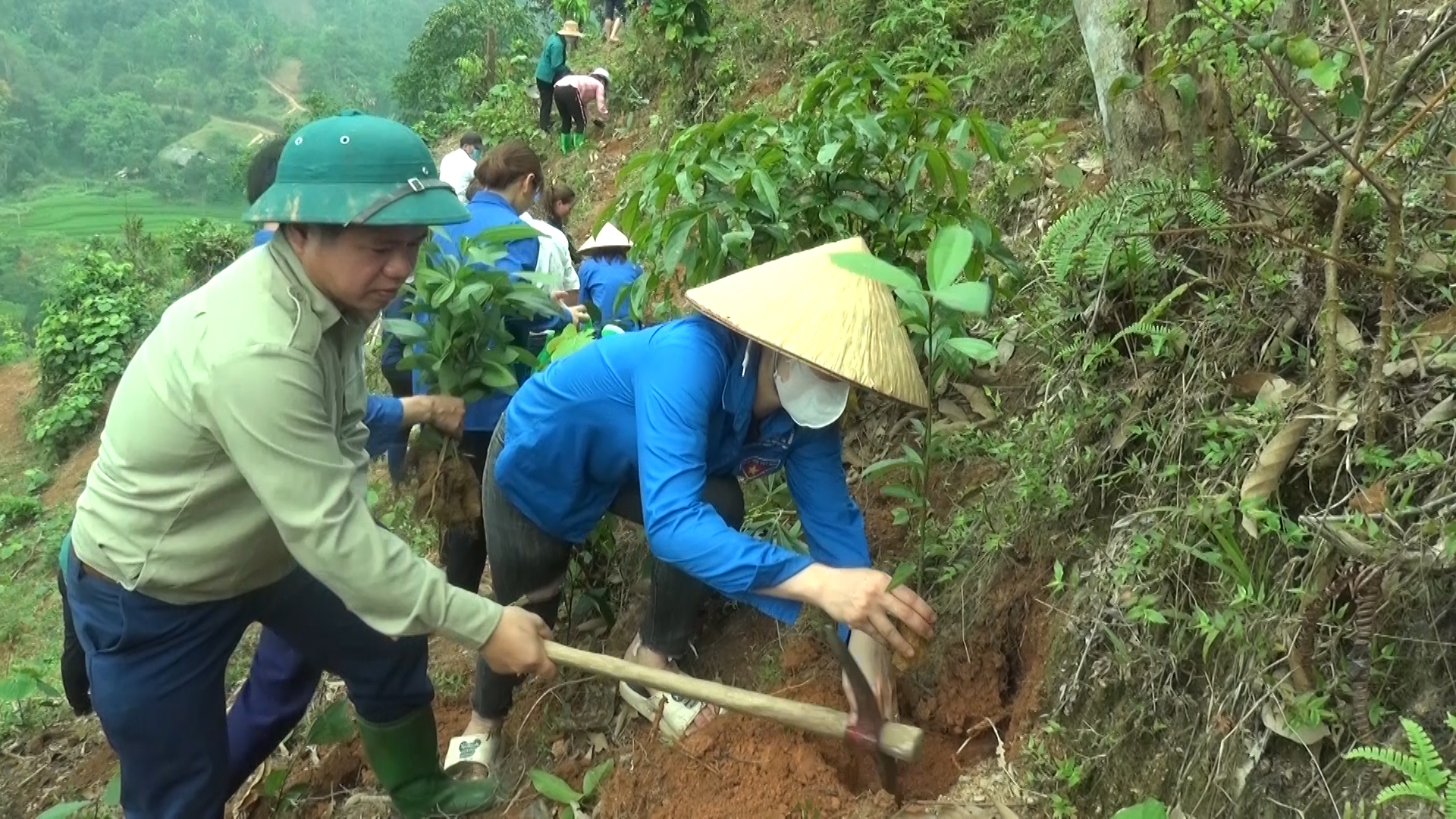 Xã Thượng Sơn phấn đấu trồng 70 ha rừng trong năm 2024
