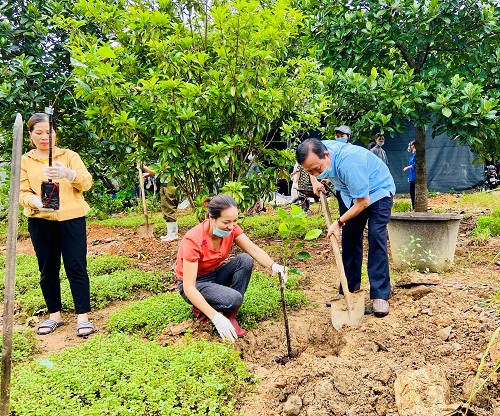 Xã Việt Lâm ra quân giúp hộ nghèo cải tạo vườn tạp