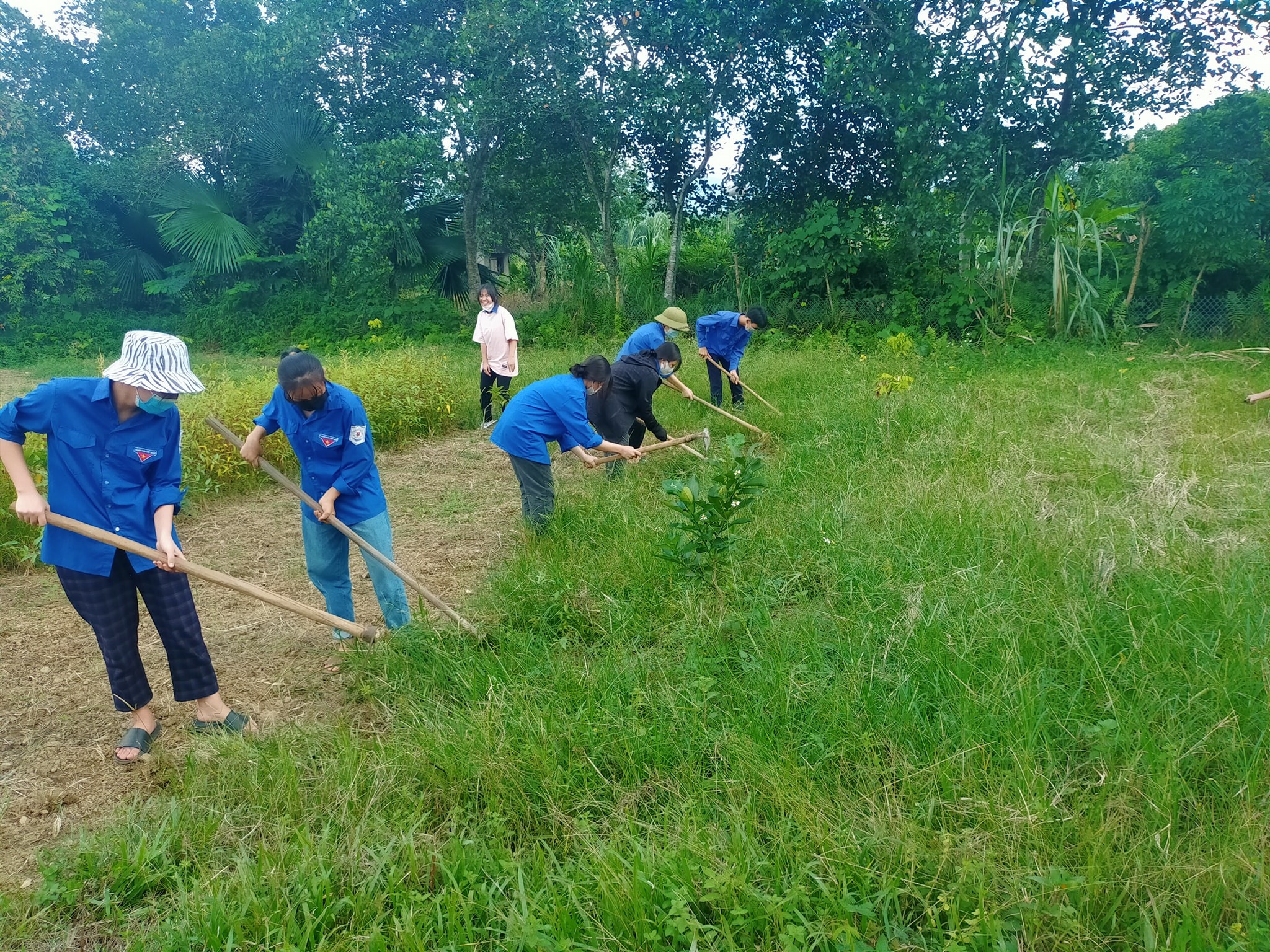 Đoàn thanh niên thị trấn Việt Lâm hỗ trợ cải tạo vườn tạp
