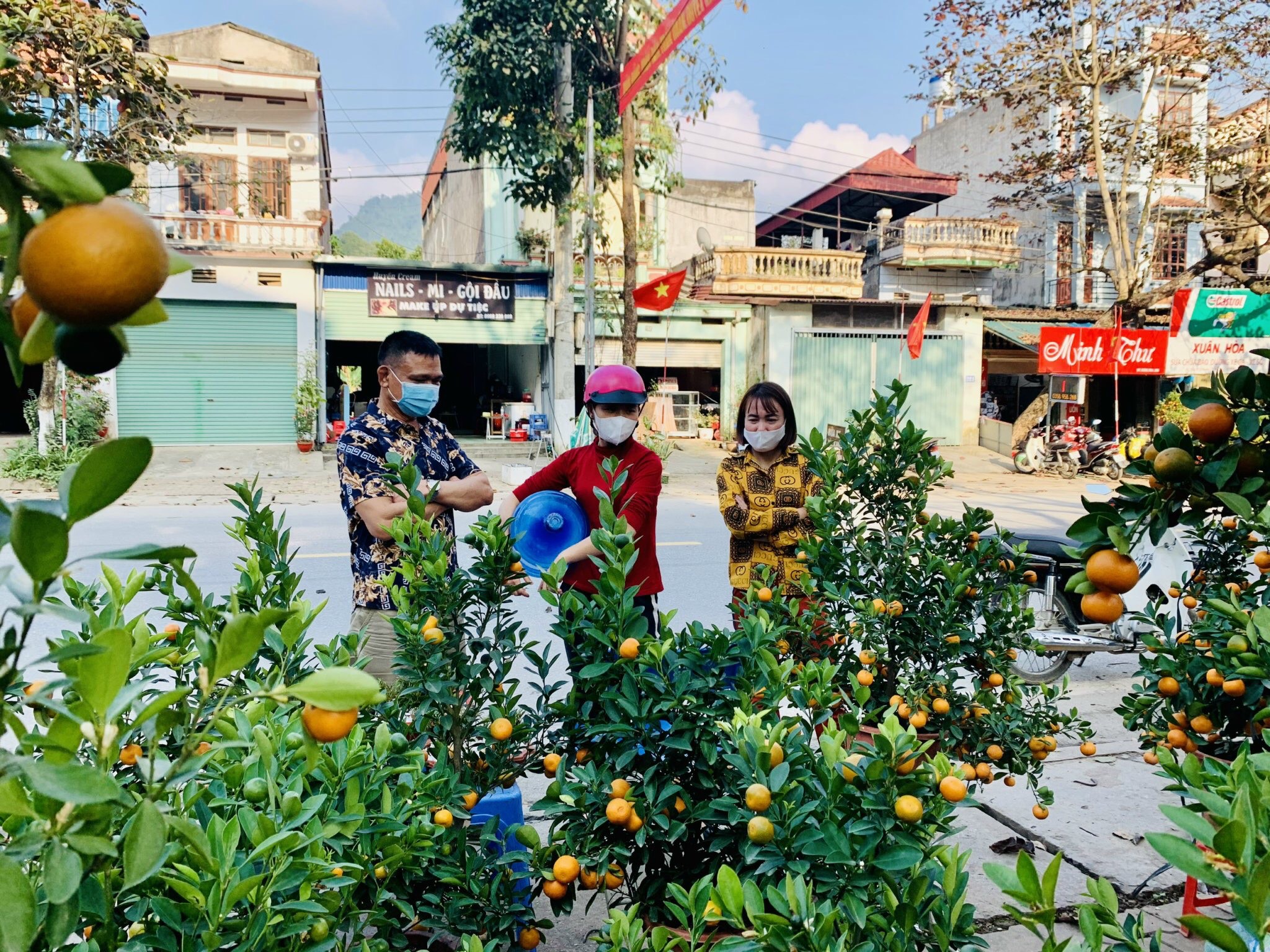 Thị trường hoa, cây cảnh Tết tại Vị Xuyên