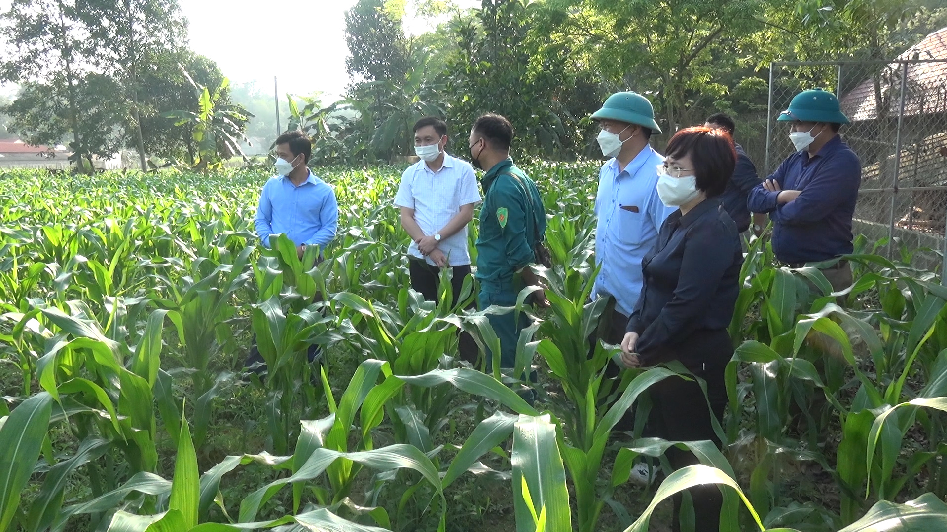 Đồng chí Bí thư Huyện ủy Vị Xuyên Đỗ Anh Tuấn dự phát động cải tạo vườn tạp tại xã Linh Hồ
