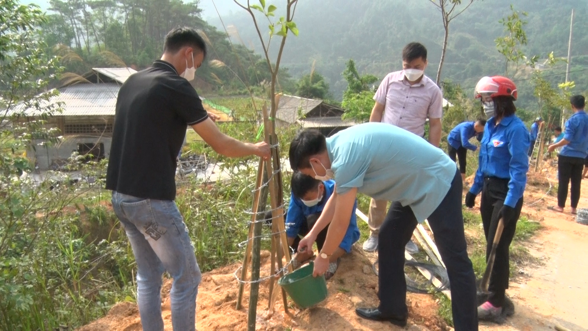 Vị Xuyên trồng cây Phong Linh tại khu vực Đền thờ các anh hùng liệt sỹ xã Thanh Thủy