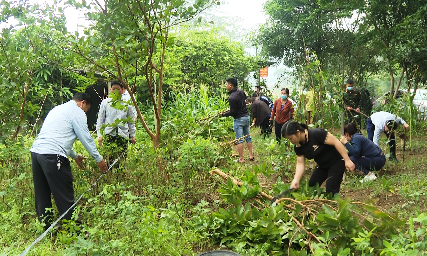 Xã Thanh Thuỷ xây dựng vườn mẫu – Chương trình cải tạo vườn tạp