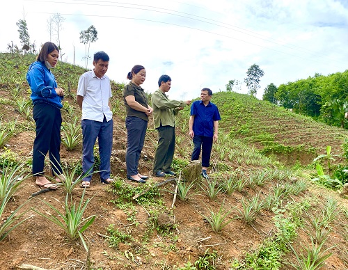 Phó Bí thư Thường trực Huyện ủy Lý Xuân Lù kiểm tra cải tạo vườn tạp tại Quảng Ngần