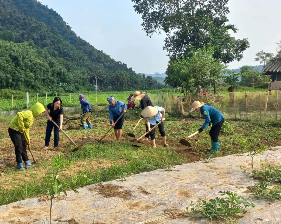 Xã Bạch Ngọc cải tạo vườn tạp cho hộ gia đình bà Hoàng Thị Châm