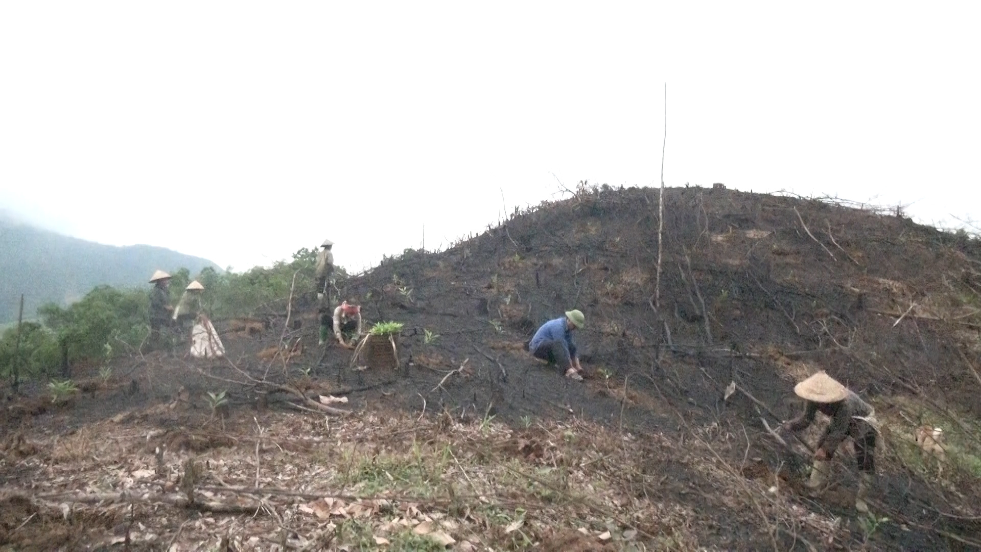 Xã Ngọc Minh đẩy mạnh công tác trồng rừng năm 2022