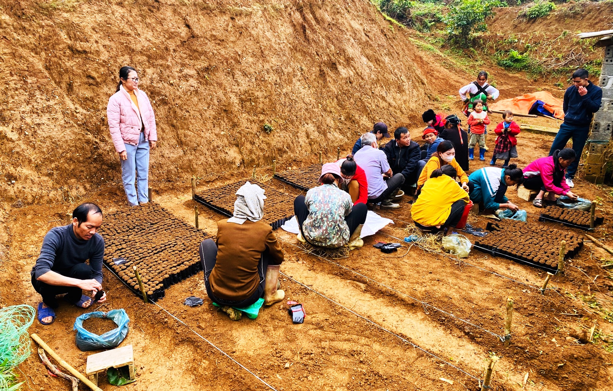 Lớp đào tạo nghề trồng và khai thác rừng trồng tại Bạch Ngọc.