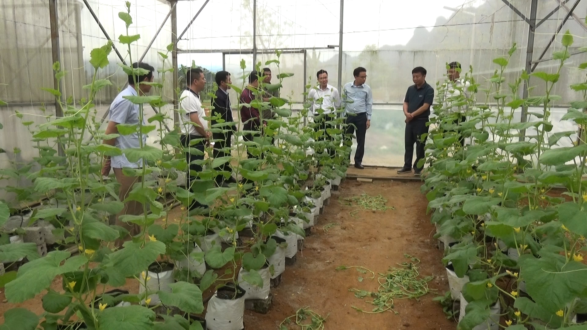 Đoàn công tác huyện Phong Thổ, tỉnh Lai Châu thăm các mô hình tại xã Phong Quang